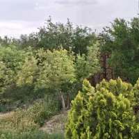 اجاره روزانه در سمیرم