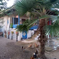 ویلاباغ ۴۰۰ متری بهمراه سوئیت جداگانه/ کوچصفهان|فروش خانه و ویلا|رشت, بلوار گیلان|دیوار