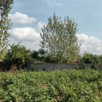 ۴۸۵ متر زمین مسکونی ( روستای توریستی  اولم)