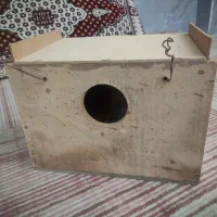لانه عروس هلندی