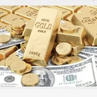 جایزه ویپاد