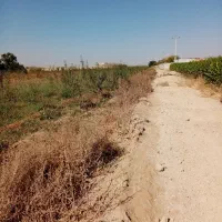 فروش باغ