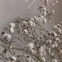 نظافت سالن زیبایی زنانه