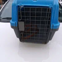 باکس حیوانات خانگی|لوازم جانبی حیوانات|بهشهر, |دیوار