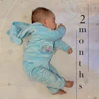 قاب(عکس)|تابلو، نقاشی، عکس|مریوان, |دیوار