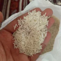 برنج فجر سوزنی مطمئن بدون قاطی|خوردنی و آشامیدنی|گنبد کاووس, |دیوار