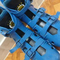 اسکیت تایگر ایتالیا