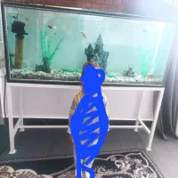 آکواریوم باتمام وسایل فروشی