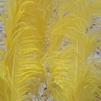 حیوان علامت (نقره وطلا کوب ساده شال کتیبه وپر)|کلکسیون اشیاء عتیقه|رشت, دیلمان|دیوار