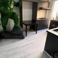 مجسمه هالک تزیینی|مجسمه، تندیس، ماکت|تهران, شهرک آزمایش|دیوار