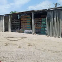 استخدام کارگر ساده