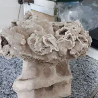 سنگ‌های کلکسیونی و سنگی که اهرنربا بهش میچسبد|کلکسیون اشیاء عتیقه|مشکان, |دیوار