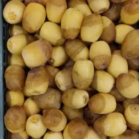 رطب جنوب|خوردنی و آشامیدنی|تهران, ترمینال جنوب|دیوار