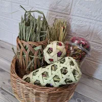 پت شاپ خرگوشی|لوازم جانبی حیوانات|تهران, بازار|دیوار