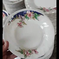 بشقاب ومیوه خوری ۱۰۰عدد ملامین