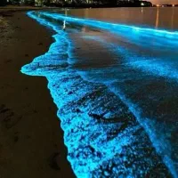 تورهای تفریحی و خرید جزایر هرمزگان به همراه اقامت