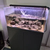 آکواریوم ریملس