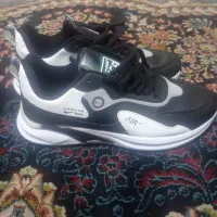 یک جفت کفش پیدا شده|اشیا|آبدان, |دیوار