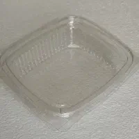 ظرف یکبار مصرف دلی کوتاه