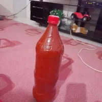 رب خانگی