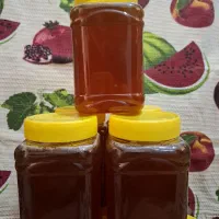 عسل گون|خوردنی و آشامیدنی|شیراز, شهرک امام حسن|دیوار