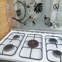 گاز|اجاق گاز و لوازم برقی پخت‌وپز|مشهد, طرق|دیوار