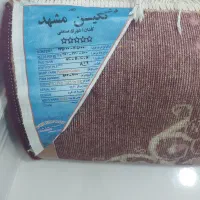 قالی|فرش|کاکی, |دیوار