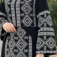 زی‌استین