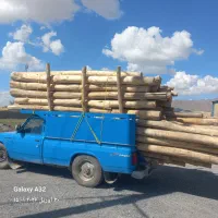 خرید انواع درخت برش چوب در آوردن ریشه کته مو