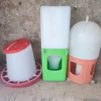 کبوتر 4عدد کفس|پرنده|قیروکارزین, |دیوار