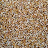 ذرت چهارپر برزیل