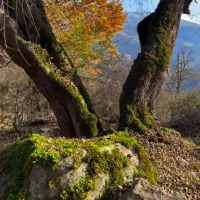 ۰۹۱۲۰۱۶۵۰۰۸