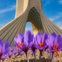 ایستگاه پاکگر زعفران