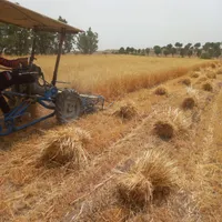 کار با دستگاه دروگر bcs|ماشین‌آلات صنعتی|تربت جام, میان جام|دیوار