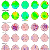 نوروفیدبک نقشه مغزی tdcs تست وکسلر،iva2 روانشناسی