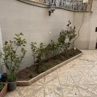 اجاره واحد ۱۶۰متری طالقانی شرقی