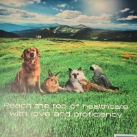 مدیر داخلی کلینیک و پتشاپ