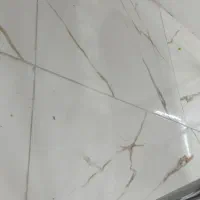 کیف|کیف، کفش، کمربند|ملایر, |دیوار