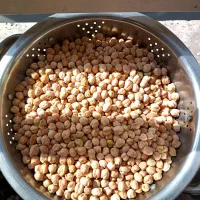 نخود همدان