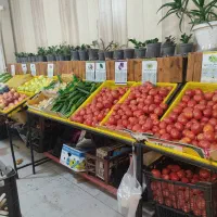 کسب وکار میوه فروشی تاپینگ ترازو طبقات میوه|فروشگاه و مغازه|مشکین‌دشت, |دیوار