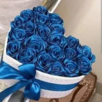 رز روبانی|گل مصنوعی|بانه, |دیوار