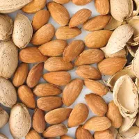 بادام سنگی ایرانی