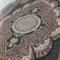 یک جفت ۱۲متری در حدنو