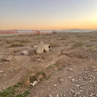 فروش زمین گلخانه ای ..شهرک گلخانه ای.کشاورزی.صنعتی|فروش دفتر صنعتی، کشاورزی، تجاری|تهران, آجودانیه|دیوار