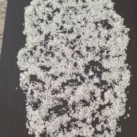 برنج ۱۰۰٪ هاشمی گیلان درجه ۱|خوردنی و آشامیدنی|تهران, جیحون|دیوار