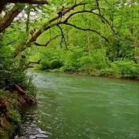 تور کمپی ویژه شهر بیجار گیلان