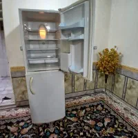 یخچال الکتروستیل|یخچال و فریزر|کارون, |دیوار