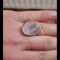 انگشتر شجر تک درخت