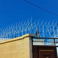 حفاظ دیواری شاخ گوزنی پله سقف