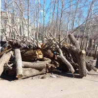 الوار چوب گردو